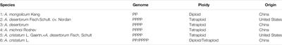 Analysis of Chloroplast Genomes Provides Insights Into the Evolution of Agropyron